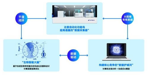 港科大孵化項目獲上海國資青睞，AI合成生物與網絡技術轉讓成投資亮點